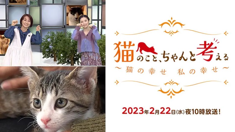 2023年2月22日　BSテレ東　猫のこと、ちゃんと考える～猫の幸せ、私の幸せ～